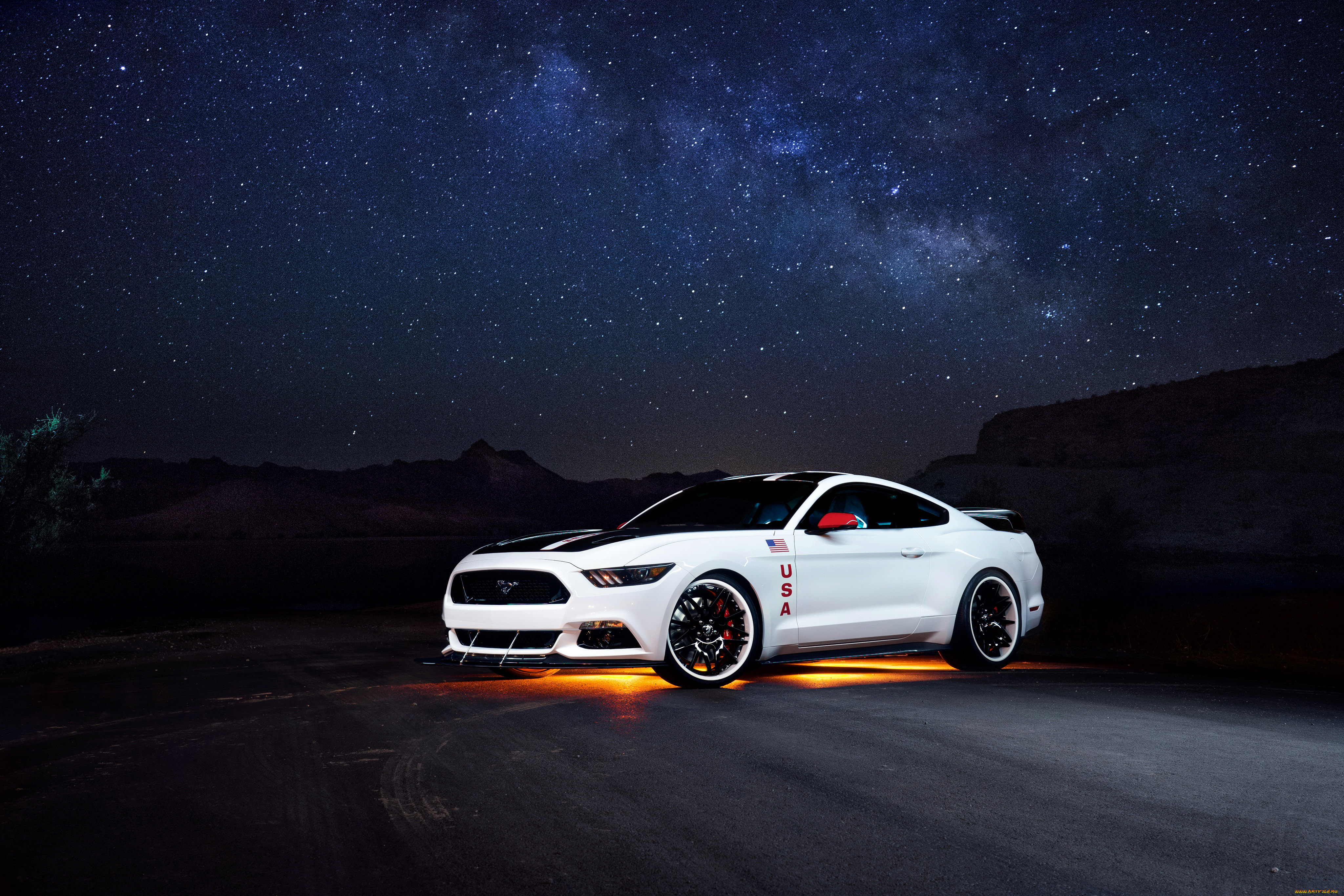 , mustang